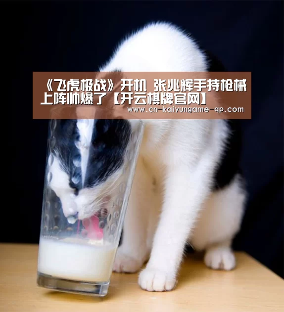 开云棋牌官方下载