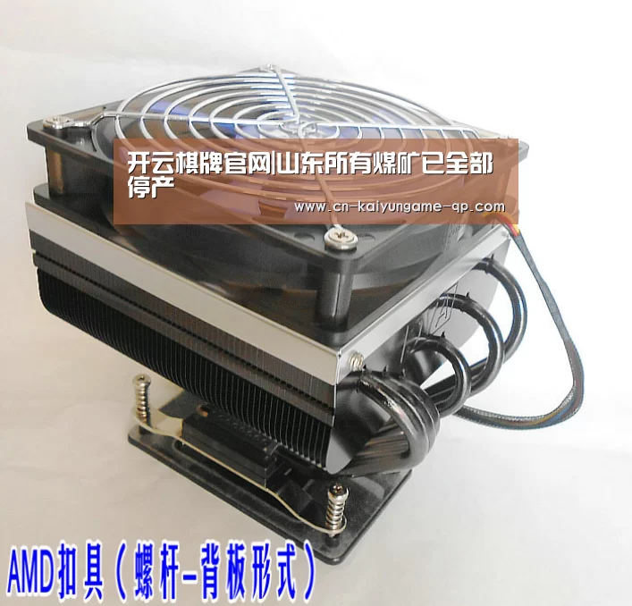 开云棋牌官网|山东所有煤矿已全部停产(图4) 开云棋牌官网