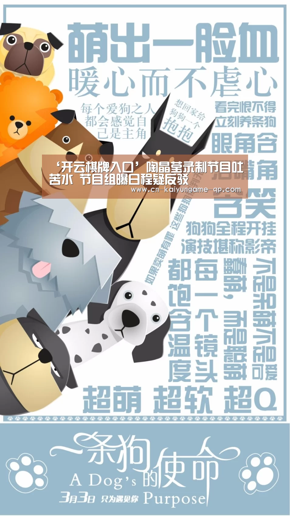 ‘开云棋牌入口’陶晶莹录制节目吐苦水 节目组曝日程疑反驳(图4) 开云棋牌官方下载